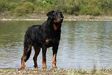 BEAUCERON 644